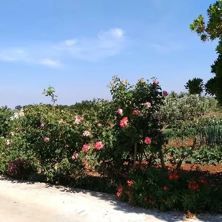 Casa Vacanze Argese 펜션 마세리아 오리미니